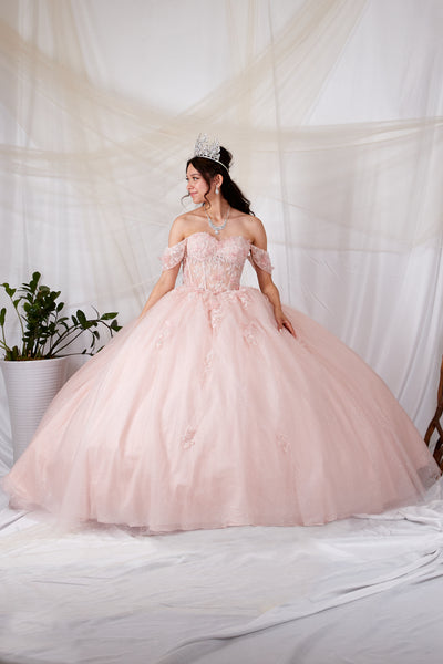 Alondra Blush Quinceañera Dress – Princess Collection