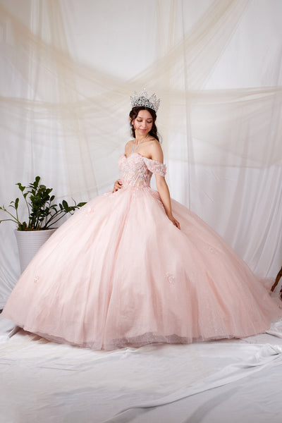 Alondra Blush Quinceañera Dress – Princess Collection