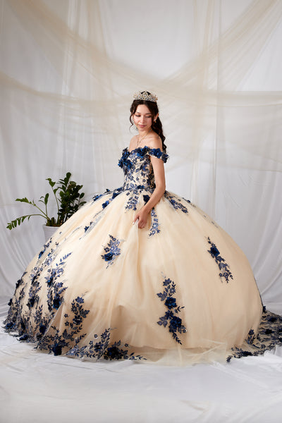 Arabella Noire Gown | Princess Collection Quinceañera Dress
