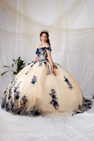 Arabella Noire Gown | Princess Collection Quinceañera Dress