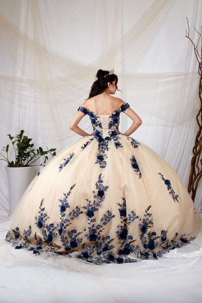 Arabella Noire Gown | Princess Collection Quinceañera Dress