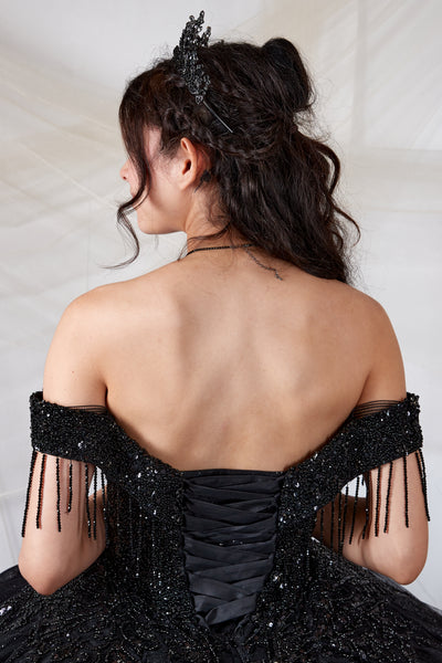 Black Glitter Ball Gown | Princess Collection Dress