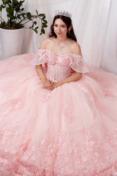Zarina Pink Butterfly Quinceañera Dress | Princess Ballgown
