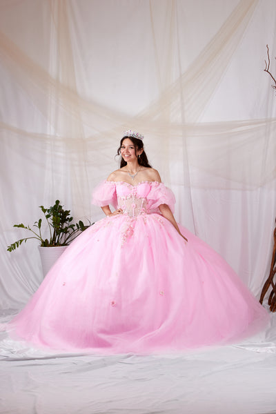 Ariyana Midnight Gown | Princess Collection Quinceañera