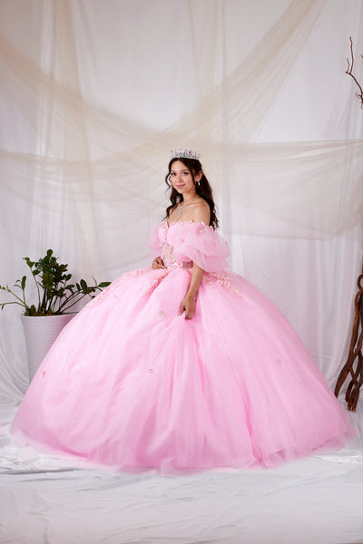 Ariyana Midnight Gown | Princess Collection Quinceañera