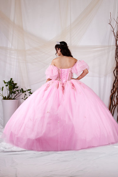 Ariyana Midnight Gown | Princess Collection Quinceañera