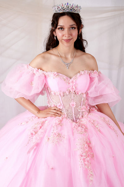 Ariyana Midnight Gown | Princess Collection Quinceañera