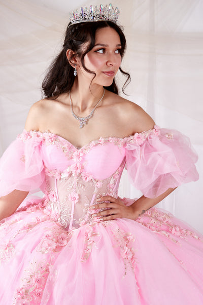 Ariyana Midnight Gown | Princess Collection Quinceañera