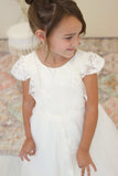 Amalee Couture Party Wedding Flower Girl Lace Floor Length Dress