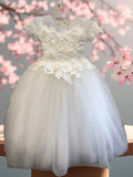 Aria Tulle Elegance Gown | Amalee Couture Ivory or White Dress for Girls
