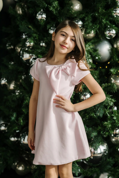 Sophia Teter Warm Girls Pink Bow Party Dress