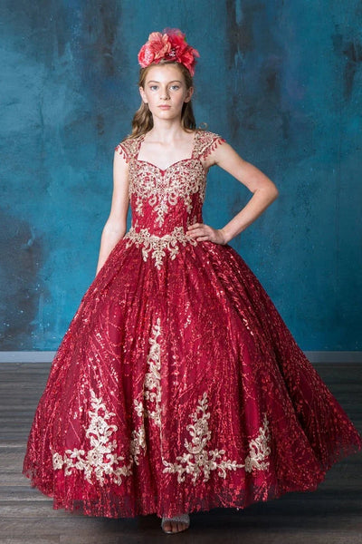 Girls Glitter Party Dress Gold Embroidered Ballgown