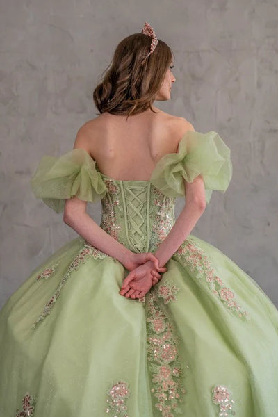 Evelisse Meadow Lime Quinceañera Gown – Puff Sleeves & Floral Embroidery