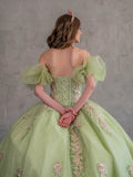 Evelisse Meadow Lime Quinceañera Gown – Puff Sleeves & Floral Embroidery