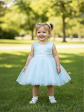 Baby Sage Flower Girl Dress for Party & Birthday