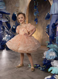 Aurelia Cupcake Girls Pageant Dress – Fairy Birthday Dress