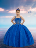Danica Royal Blue Girls Pageant Dress – Princess Collection