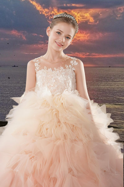 Aurora Pink Ombre Ball Gown – Brydealo Couture Pageant Dress