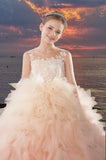 Aurora Pink Ombre Ball Gown – Brydealo Couture Pageant Dress