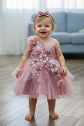 Baby 3D Floral Lace Dress for Special Occasion