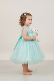 Baby Sequin Lace Special Occasion Dress 6-24M