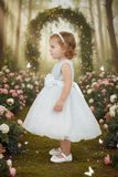 Baby Sequin Lace Special Occasion Dress 6-24M
