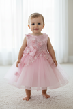 Crystal Tulle Baby Pageant Dress with 3D Flowers
