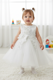 Crystal Tulle Baby Pageant Dress with 3D Flowers