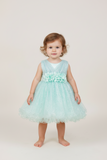 Baby Sequin Lace Special Occasion Dress 6-24M
