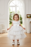 Baby Tiered Ruffle Special Occasion Dress