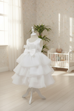 Baby Tiered Ruffle Special Occasion Dress
