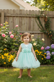Baby Sequin Lace Special Occasion Dress 6-24M