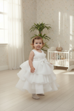 Baby Tiered Ruffle Special Occasion Dress