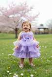 Baby Tiered Ruffle Special Occasion Dress