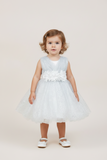 Baby Sequin Lace Special Occasion Dress 6-24M