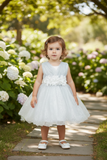 Baby Sequin Lace Special Occasion Dress 6-24M