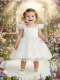 Baby Birthday Party Dress – Special Occasion Lace Baby Dress