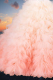 Aurora Pink Ombre Ball Gown – Brydealo Couture Pageant Dress