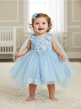 Rosalee Baby Girls 3D Floral Party Pageant Dress | Blush Kids