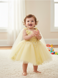Rosalee Baby Girls 3D Floral Party Pageant Dress | Blush Kids