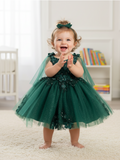 Rosalee Baby Girls 3D Floral Party Pageant Dress | Blush Kids