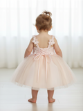 Rosalee Baby Girls 3D Floral Party Pageant Dress | Blush Kids