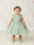 Rosalee Baby Girls 3D Floral Party Pageant Dress | Blush Kids