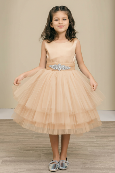 Elara Sky Special Occasion Dress for Girls