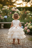 Baby Tiered Ruffle Special Occasion Dress