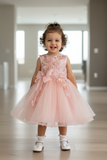 Crystal Tulle Baby Pageant Dress with 3D Flowers