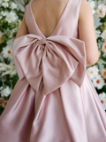 Maribel Teter Warm Girls Blush Pink Bow Party Dress