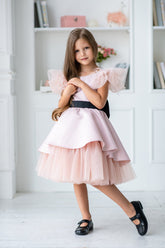 Gorgeous Tutu Flower Girl Special Occasion Party Dress