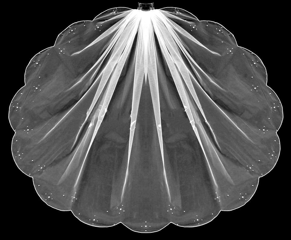 Veil With Scalloped Edge