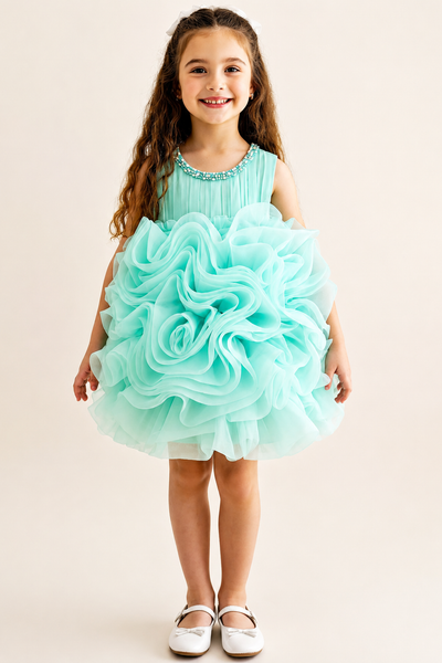 Girls Organza Bloom Party Dress with Rosette Tutu